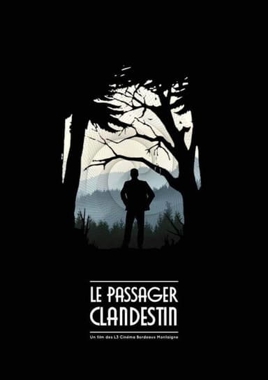 The Stowaway poster