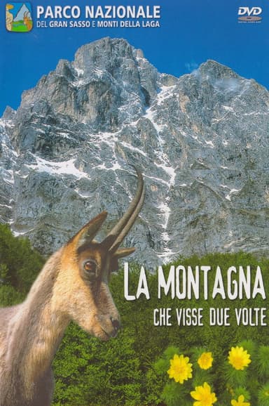 The mountain That Lived Twice poster