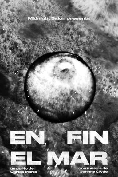 En fin, el Mar poster