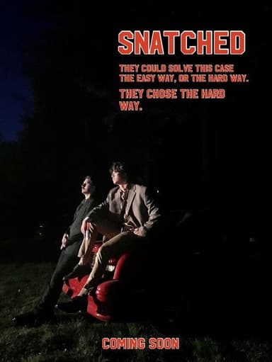 Snatched poster