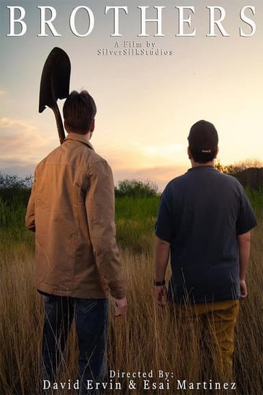Brothers poster