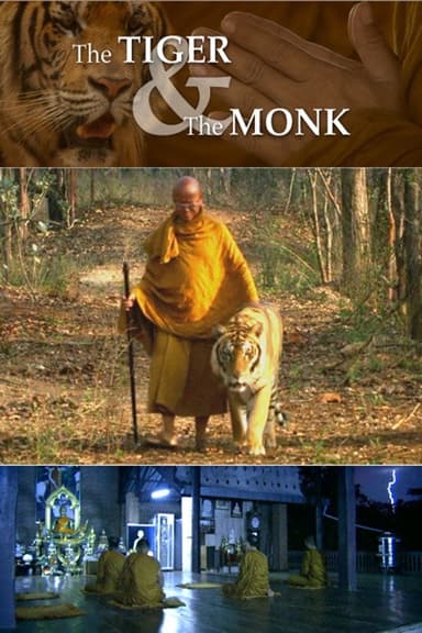 The Tiger and the Monk poster