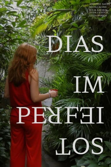 Dias Imperfeitos poster