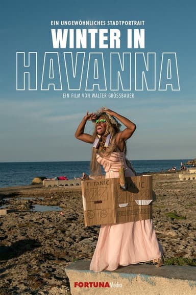 Winter in Havana poster