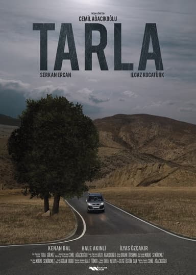 The Field poster
