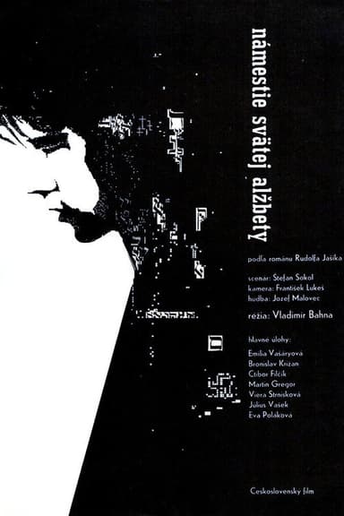 Saint Elizabeth Square poster