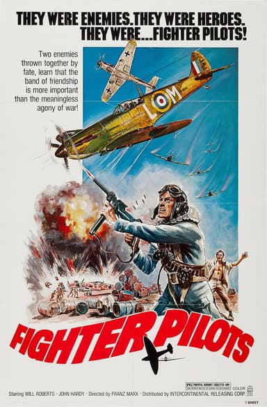Fighter Pilots poster