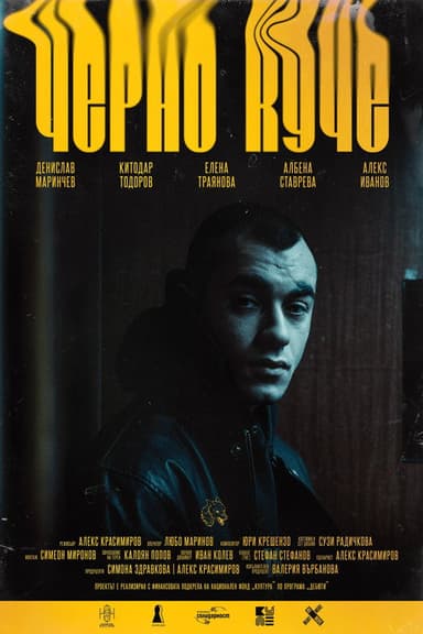 Black Dog poster