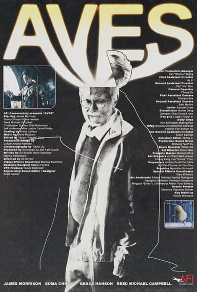 Aves poster