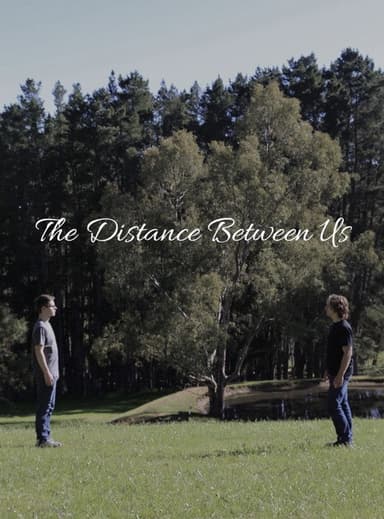The Distance Between Us poster