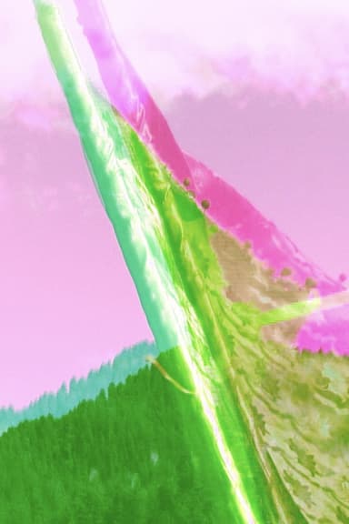 Xitana poster