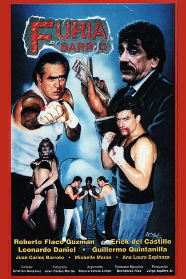 Furia de barrio poster