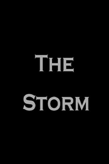 The Storm poster