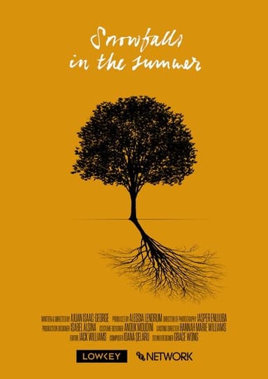 Snowfalls in the Summer poster