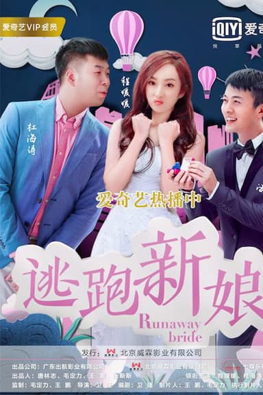 逃跑新娘2017 poster