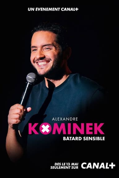 Alexandre Kominek : Bâtard sensible poster