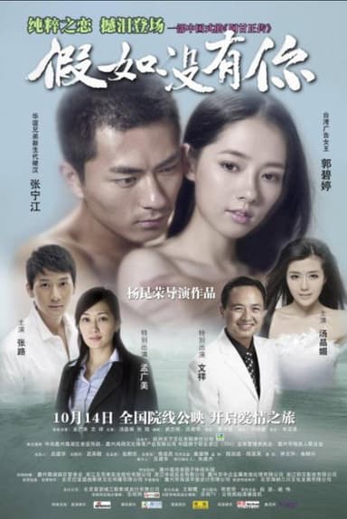 假如没有你 poster