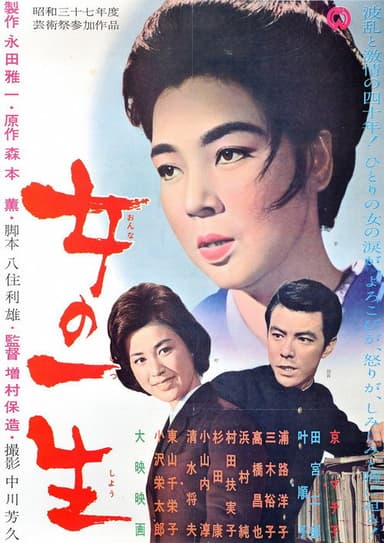 A Woman's Life poster