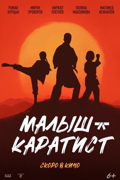 Малыш-каратист poster