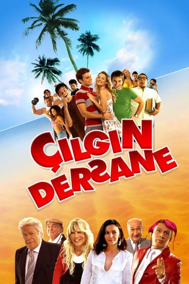 The Class poster