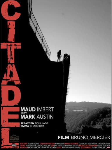Citadel poster