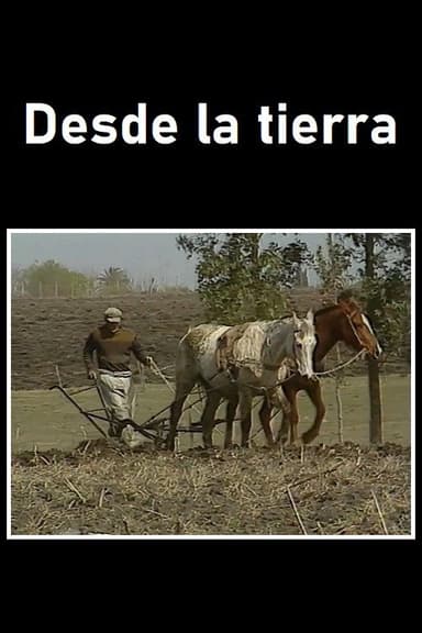 Desde la tierra poster