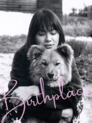 Birthplace poster