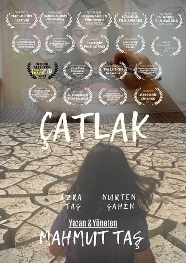 Cracked poster