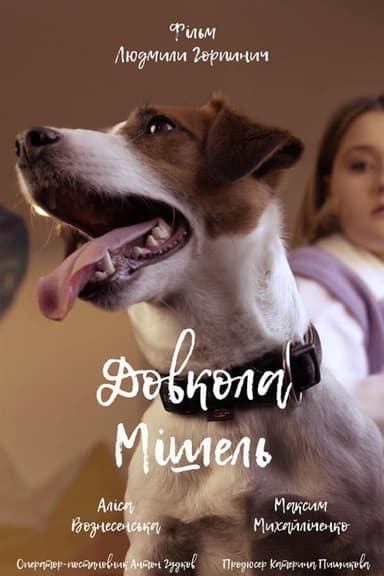 Around Michelle poster