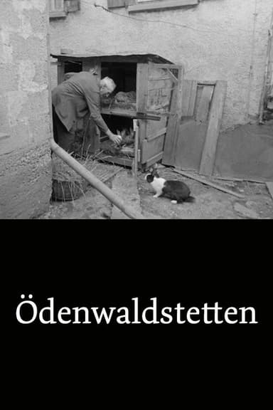 Ödenwaldstetten poster