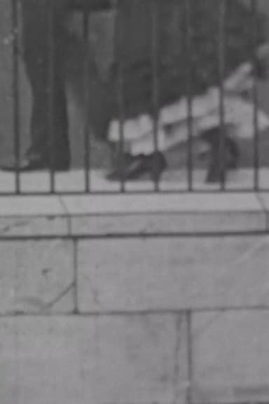 Photograph Taken From An Area Window poster