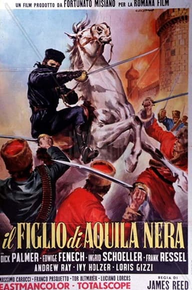 Son of Black Eagle poster