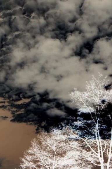 Clouds and Trees poster