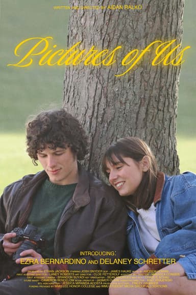 Pictures of Us poster