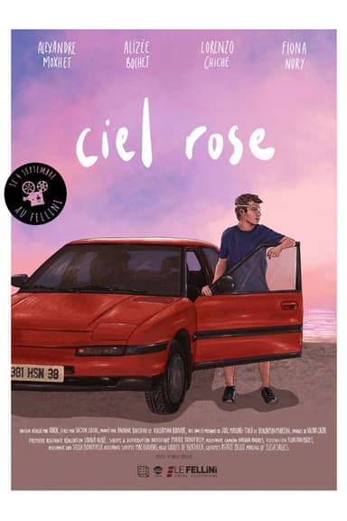 Summer Skies poster