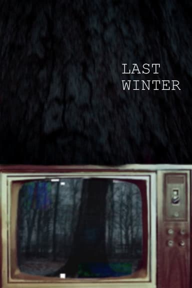 Last Winter poster