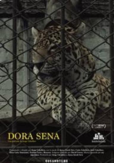 Dora Sena poster