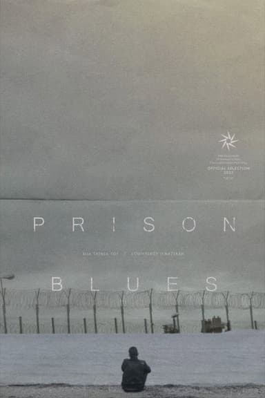 Prison Blues poster