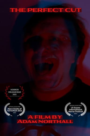 The Perfect Cut poster