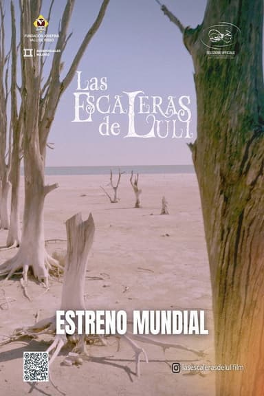Luli's Stairs poster
