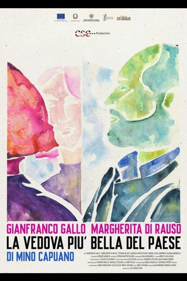 La vedova più bella del paese poster