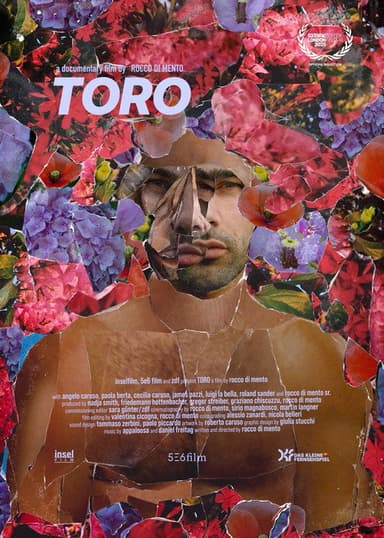 Toro poster
