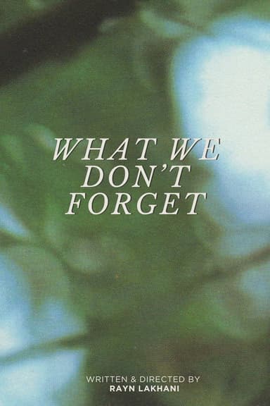 What We Don’t Forget poster