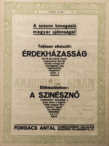 Érdekházasság poster