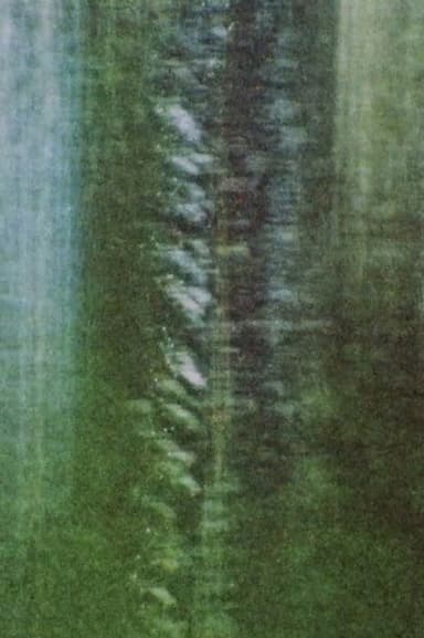 Rue De La Montagne poster