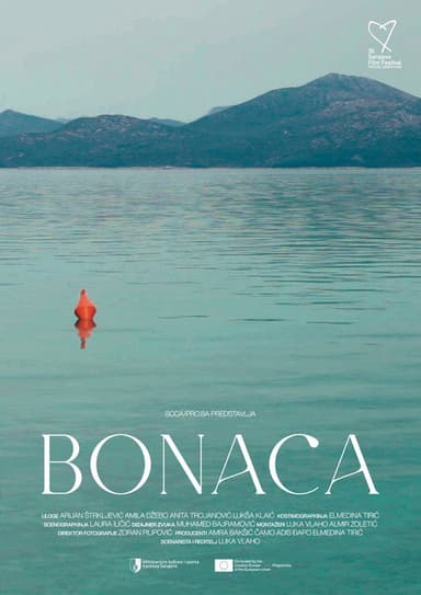 Bonaca poster