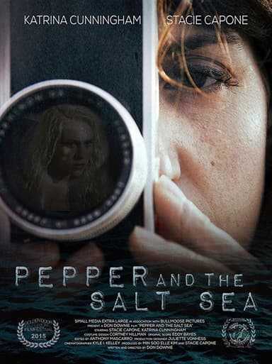 Pepper and the Salt Sea poster