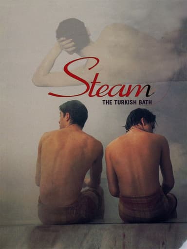 Steam: The Turkish Bath poster