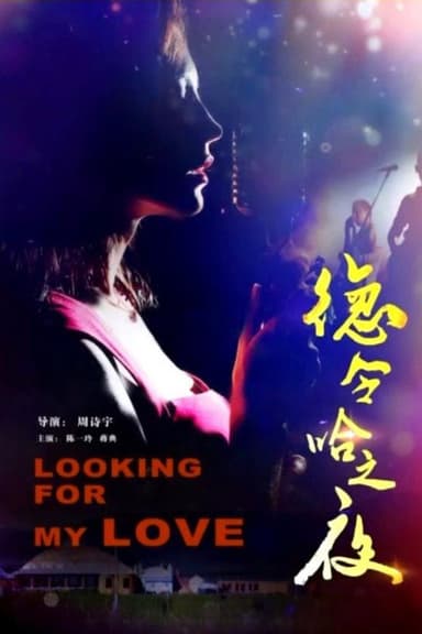 Delhi Night poster