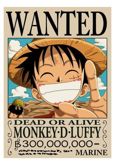 海贼王特别篇：路飞的绝技 poster